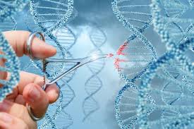 ژن‌ درمانی و ارتباط مستقیم آن با درمان بیماریهای نادر چشم