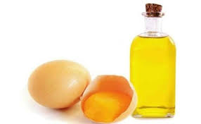 روغن تخم مرغ از روش تهیه تا فواید آن در حوزه زیبایی