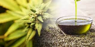 روغن شاهدانه و تجربه استفاده از آن در درمان صرع !