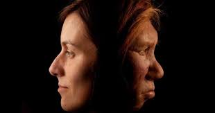 اطلاعاتی از پیشانی ناندرتال و روش درمانی آن ؟